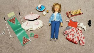 Vtg 1964 Ideal Tammy Family " Pepper " Doll Clothes Pet Accessories Case