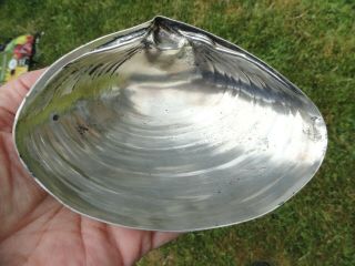 Vintage Wallace Sterling Footed Clam Shell Dish 393 - 6 1/4 " - 96 Grams
