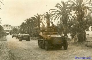 Press Photo: Rare German Afrika Korps Sdkfz.  250 & Sdkfz.  251 Halftracks On Road