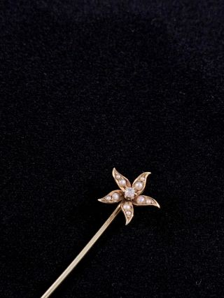 Vintage Art Nouveau 14k Yellow Gold Stick Pin: Seed Pearl & Diamond Star,  Signed