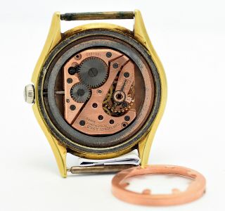 Radium Dial Tissot,  Gold Plated,  Screw Case - Vintage 50 