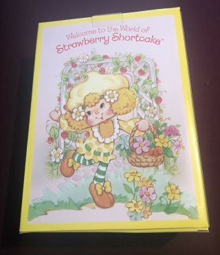 Lemon Meringue MIB Strawberry Shortcake Danbury Porcelain Collector Doll 3