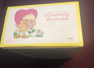 Lemon Meringue MIB Strawberry Shortcake Danbury Porcelain Collector Doll 7