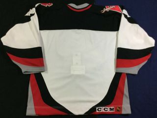 Vintage Buffalo Sabres NHL Hockey CCM Jersey Size48 2