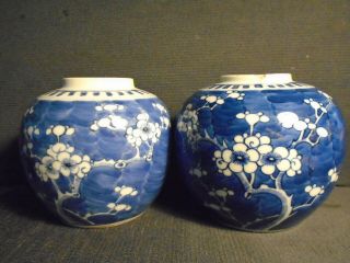 Two Antique Chinese Porcelain B&w Ginger Jars,  Late 19th.  Century,  One Only Af.