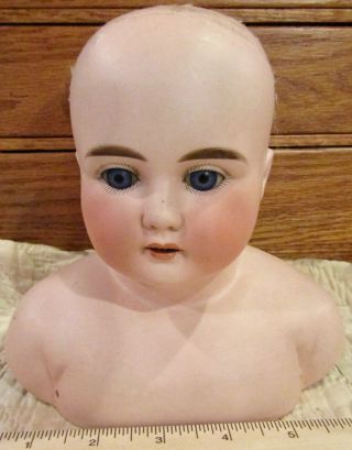 Antique German Bisque Doll Abg Head,  Large,  Perfect