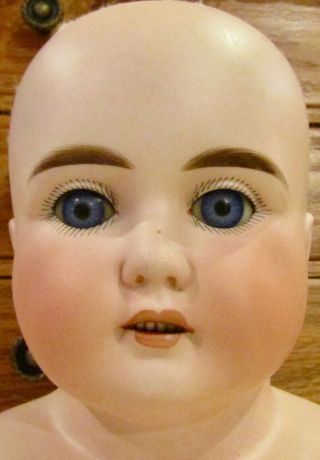 Antique German Bisque Doll ABG Head,  Large,  Perfect 2
