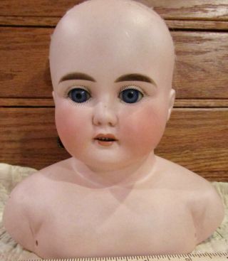 Antique German Bisque Doll ABG Head,  Large,  Perfect 3
