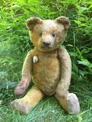 19” Antique Early 1900s American Teddy Bear Mohair,  100 Excelsior,  Button Eyes