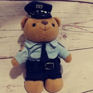 Vintage Rare Cpd Chicago Police Department Officer Teddy Bear Collectible