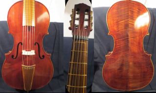 Rare Model 6 Strings 23 " (1/4) Song Maestro " Arpeggione ",  Powerful Sound 13083