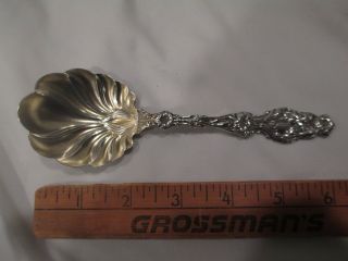 Whiting Lily Sterling Silver Serving Spoon Sugar 6 " Lobed Jennie Monogram