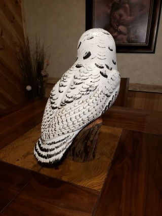 Snowy owl wood carving birds of prey owl decoy duck decoy Casey Edwards 7