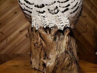 Snowy owl wood carving birds of prey owl decoy duck decoy Casey Edwards 8