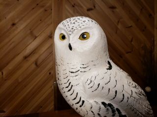 Snowy owl wood carving birds of prey owl decoy duck decoy Casey Edwards 9