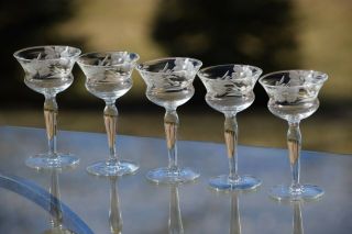 Vintage Etched Wine Cordials - Glasses,  Set of 5,  3 oz After Dinner Drinks 3