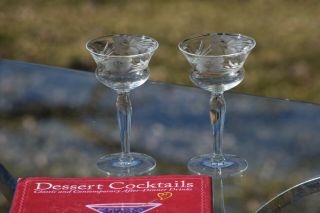 Vintage Etched Wine Cordials - Glasses,  Set of 5,  3 oz After Dinner Drinks 6