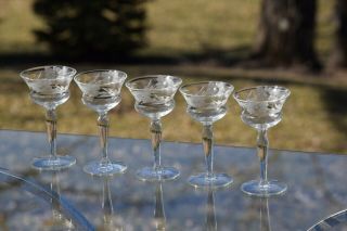Vintage Etched Wine Cordials - Glasses,  Set of 5,  3 oz After Dinner Drinks 7