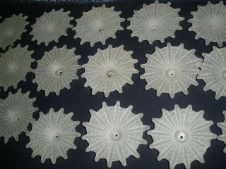 Set Of 36 Vintage Carved Glass White Flowers Sconces For Chandelier Parts 4 "