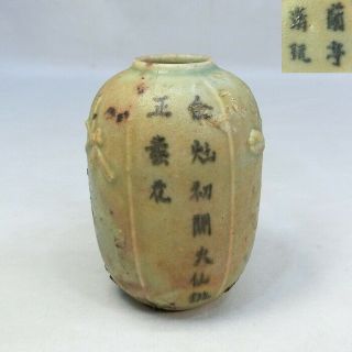 F956: Real Chinese Small Vase Of Old Porcelain With Insect Relief.