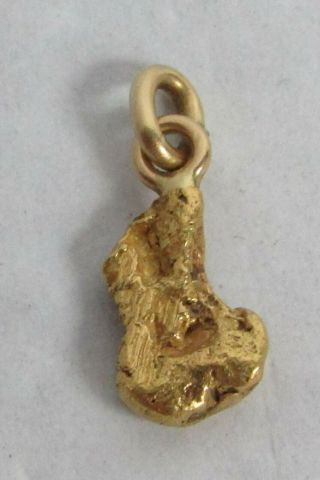 Alaskan Gold Nugget 2.  1 Gram Pendant / Charm