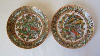 Pair Chinese Porcelain Famille Rose Canton Enamel Saucer Dishes: Butterflys
