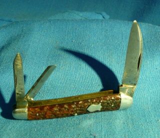 Vintage Wharncliffe Walden Knife Co N.  Y.  Whittler Jigged Bone Pocket Knife "