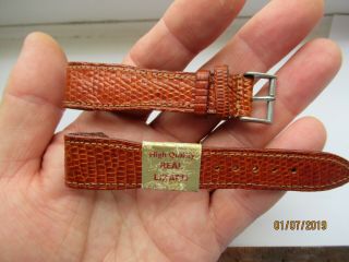 Vintage Open Ended 20mm Real Lizard Watch Strap 1940 