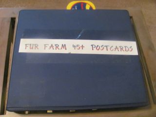 45,  Vintage Postcards Of Fur Farms Fox Mink Muskrat Real Photo Linens Chromes