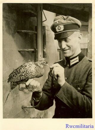 Press Photo: Terrific Wehrmacht Leutnant W/ Bird Mascot At Bunker; 1940