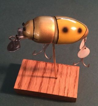 Vintage Gold And Yellow Creek Chub Beetle Lure.  Very And Looks