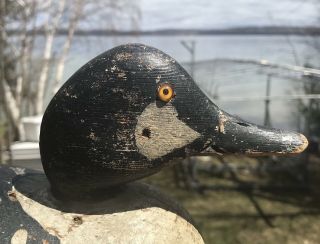 VINTAGE MASON CHALLENGE GRADE GOLDENEYE DRAKE DUCK DECOY RARE PAINT 2