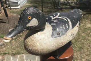 VINTAGE MASON CHALLENGE GRADE GOLDENEYE DRAKE DUCK DECOY RARE PAINT 5