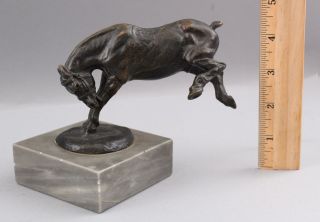 Small Early 20thc Antique G.  J.  Miers Bucking Horse,  French Bronze Sculpture Nr
