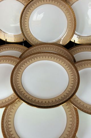 Gorgeous Antique Set 10 Cauldon England Dinner Plates Beige Gold Encrusted 5525