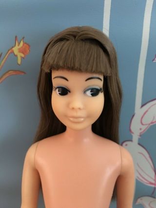 Vintage Japanese Exclusive Skipper Doll pink skin brunette 9