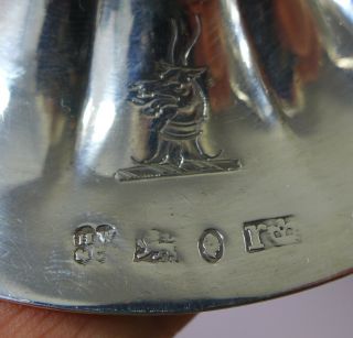 FINE ANTIQUE WILLIAM IV HALLMARKED STERLING SILVER BUTTER DISH LID COW KNOP 1837 4