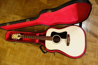 Vintage 1988 Guild D25 Acoustic Guitar Made In Westerly,  Usa W/case