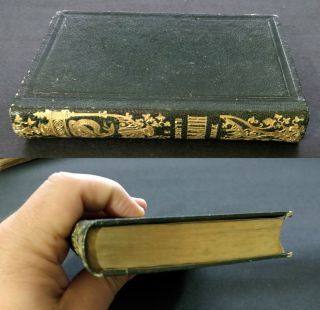 1854 Antique Book - Natural History of Fishes & Reptiles,  w.  16 Hand - Col.  Plates 12