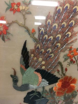 Chinese Vintage Embroidered Silk Wall Hanging with Colorful Peacocks 3