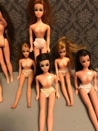 vintage topper dawn dolls,  HELP US  6