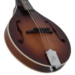 The Loar Honey Creek Mandolin Lm - 110 - Brb