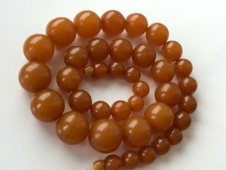 VINTAGE Amber Beads Butterscotch / Egg Yolk Baltic Necklace 93 gr 7