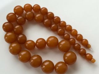 VINTAGE Amber Beads Butterscotch / Egg Yolk Baltic Necklace 93 gr 8