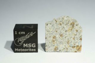Strathmore Meteorite Part Slice 1.  885g Rare & Historic.  Fell Scotland 1917