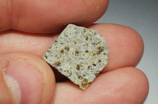Strathmore Meteorite part slice 1.  885g RARE & HISTORIC.  Fell Scotland 1917 9