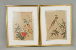 Vintage Chinese Signed Hand Painting On Silk Of Exotic Birds