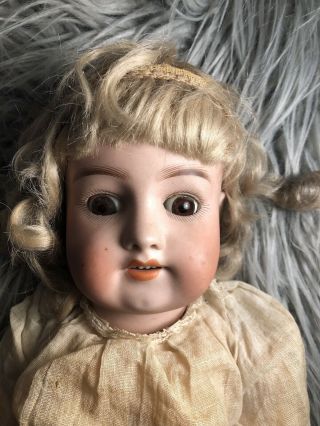 Antique 22 " German Bisque Simon Halbig 570 Doll,  Perfect Bisque On Signed Body