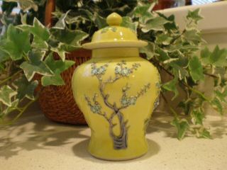 Vintage Chinese Porcelain Ginger Jar Yellow Glaze With Raised Plum Flowers