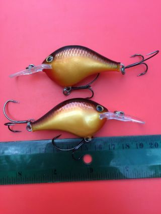 Vintage Rapala Balsa Rare Dt - 6 Cw Crawdad Bass Musky Salmon Pike Fishing Lure